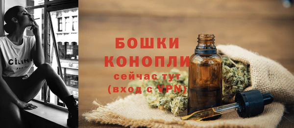 прущие грибы Белокуриха