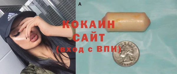 прущие грибы Белокуриха