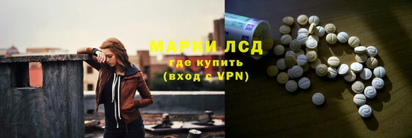 прущие грибы Белокуриха