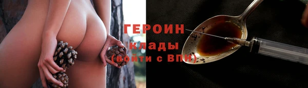 прущие грибы Белокуриха