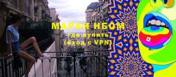 прущие грибы Белокуриха